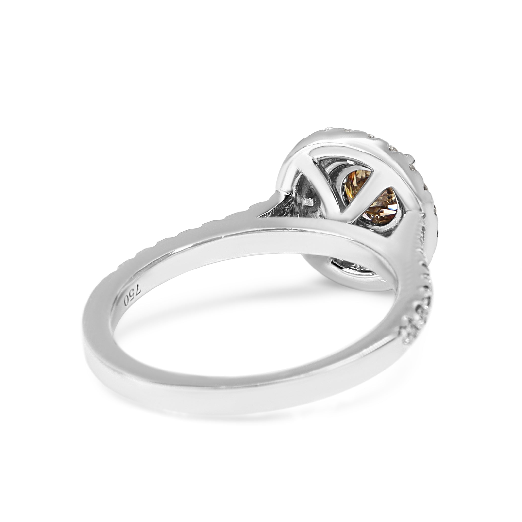 18ct White Gold Champagne Diamond Double Halo Ring