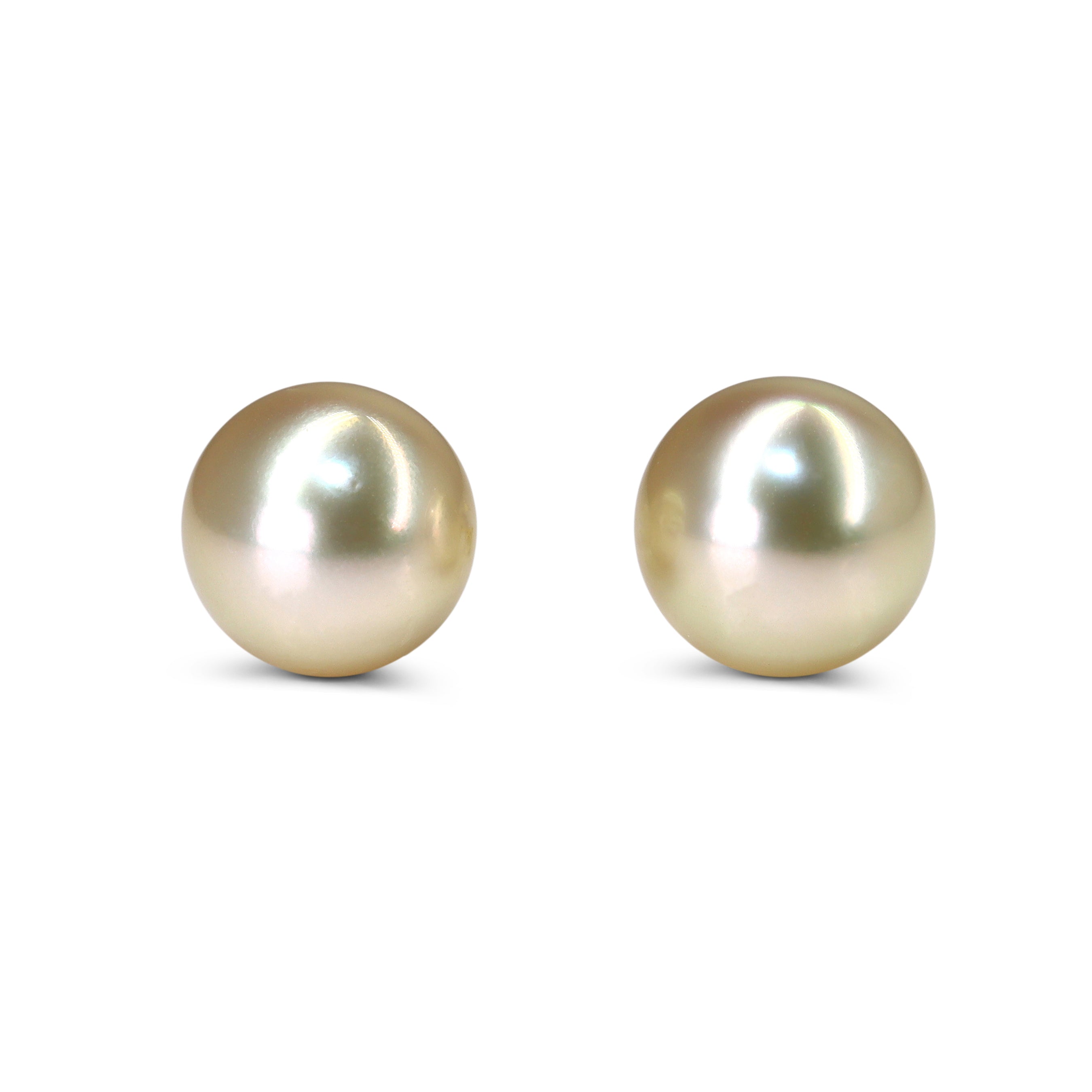 18ct Yellow Gold Golden 10.7mm South Sea Pearl Stud Earrings