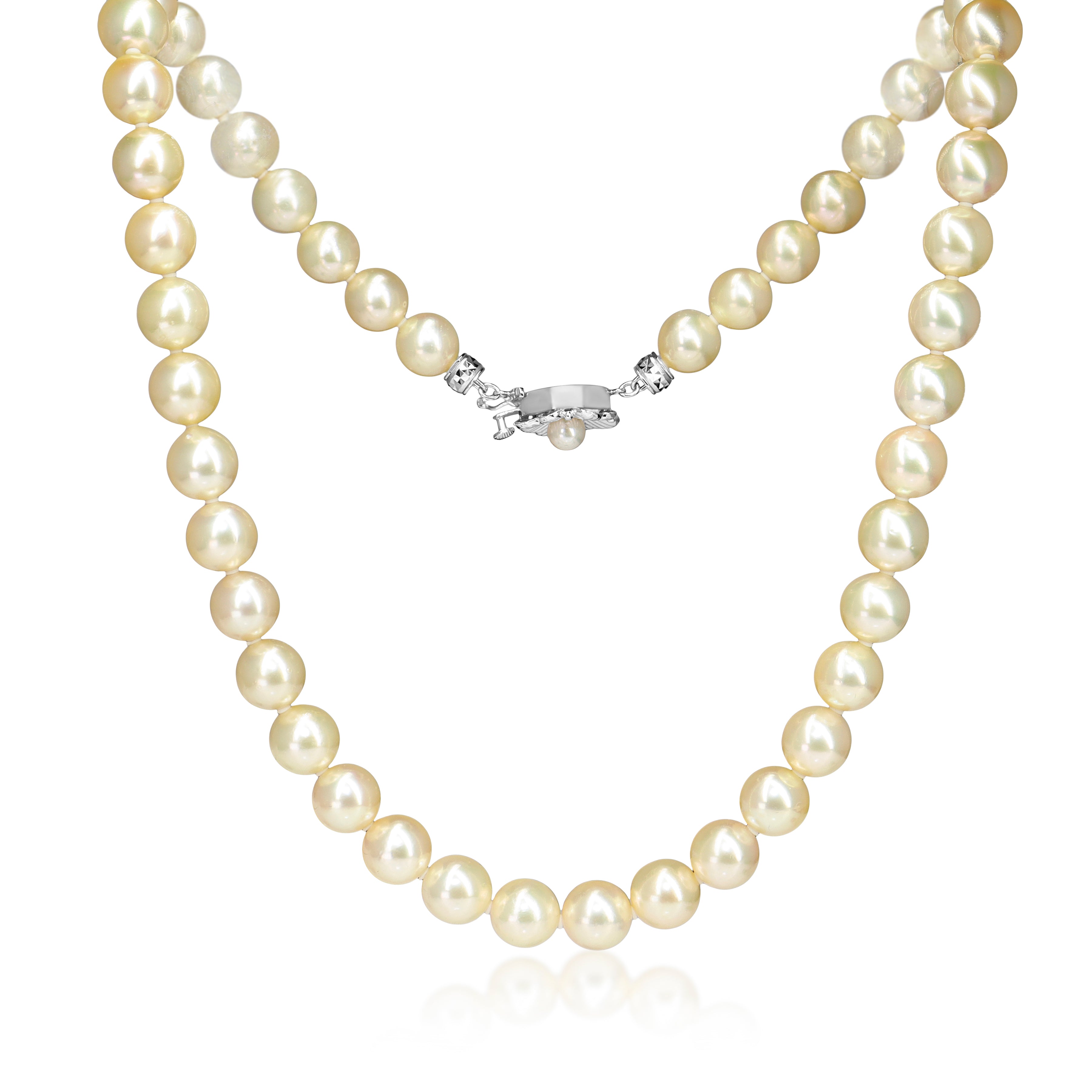 14ct White Gold Light Yellow 8.7 - 9mm Akoya Pearl Necklace