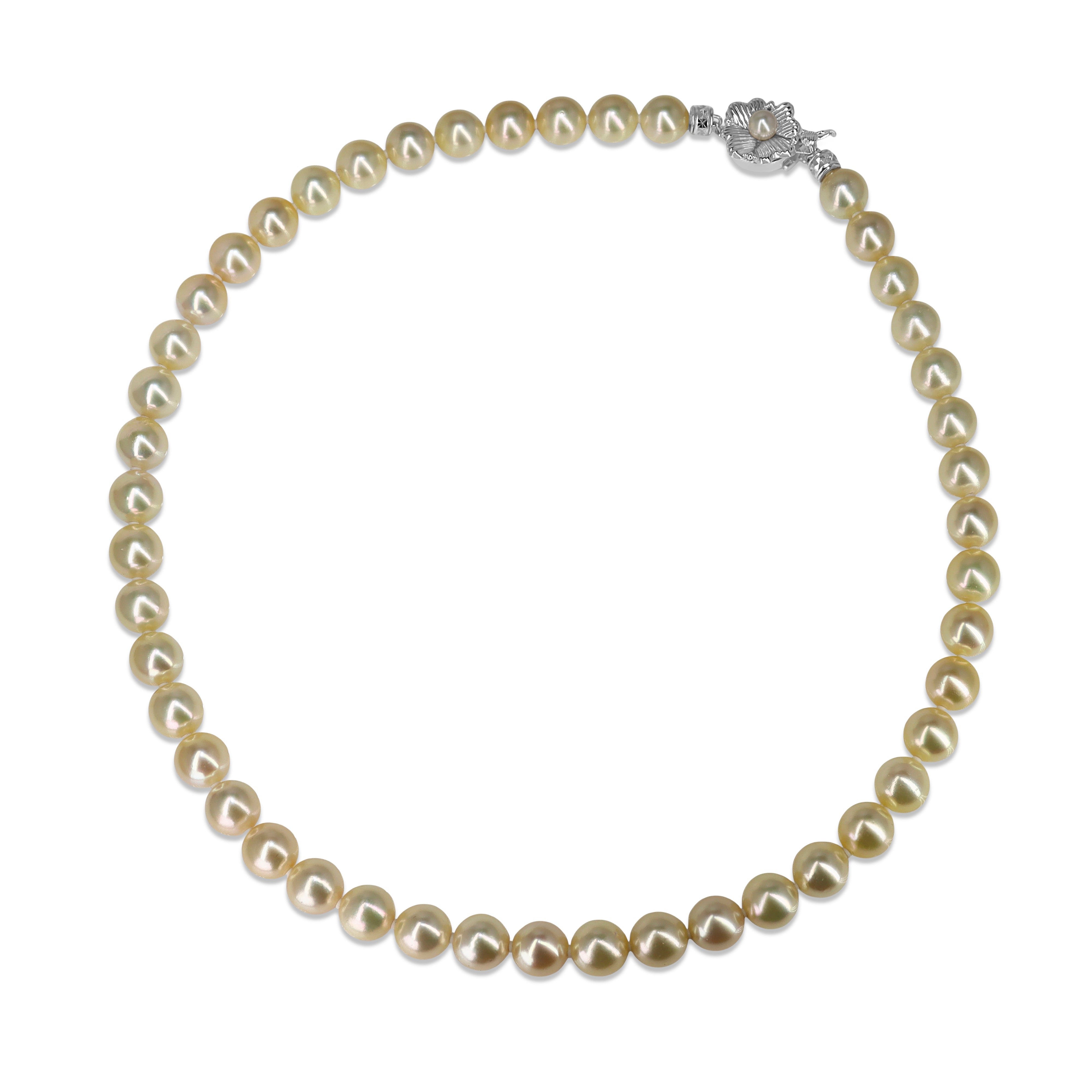 14ct White Gold Light Yellow 8.7 - 9mm Akoya Pearl Necklace