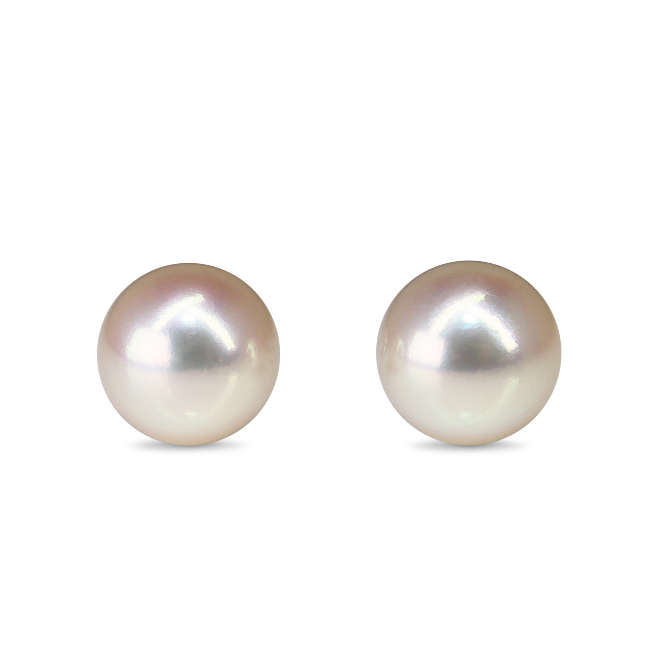 14ct White Gold 8.2mm Akoya Stud Earrings