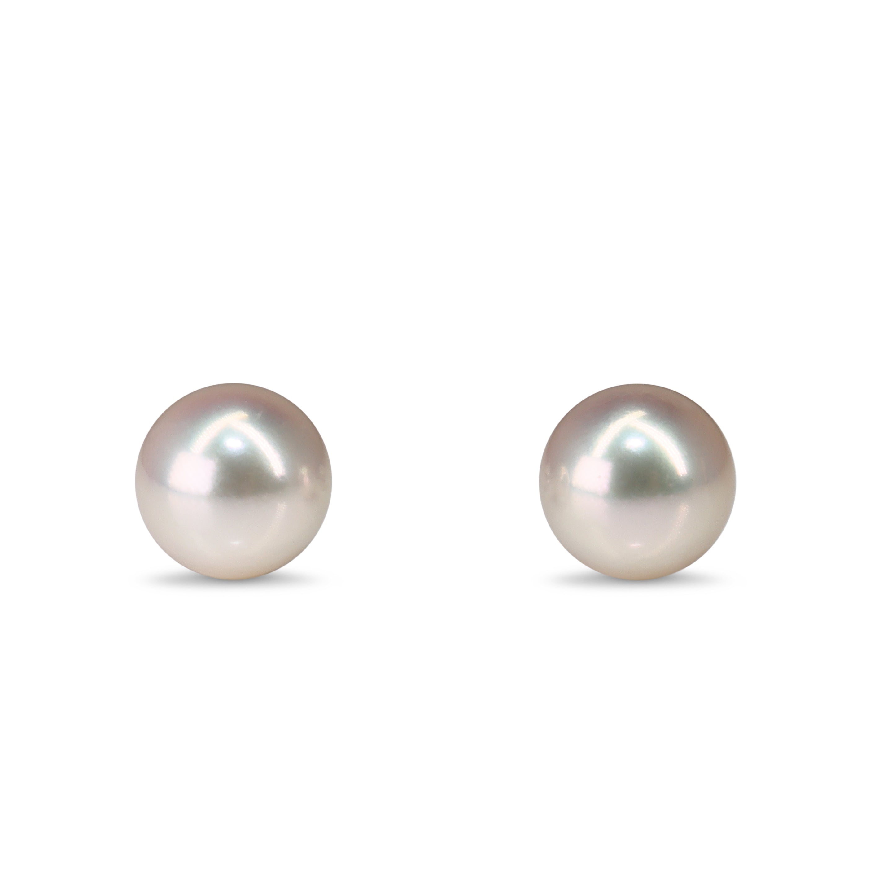 14ct White Gold 8.7mm Akoya Pearl Stud Earrings