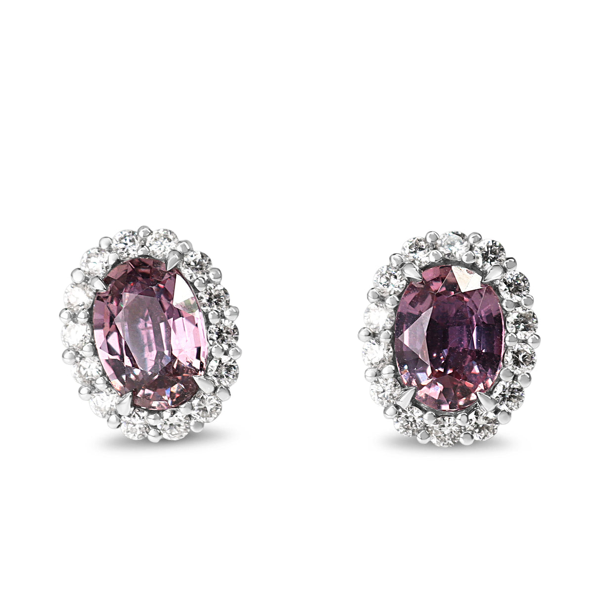 18ct White Gold Pink Sapphire and Diamond Halo Stud Earrings
